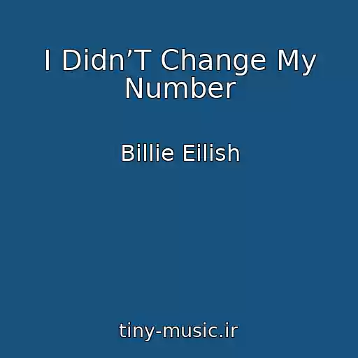 کاور آهنگ I Didn’T Change My Number از Billie Eilish