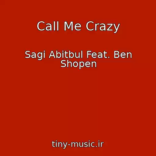 کاور آهنگ Call Me Crazy از Sagi Abitbul Feat. Ben Shopen