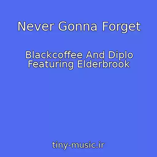 کاور آهنگ Never Gonna Forget از Blackcoffee And Diplo Featuring Elderbrook