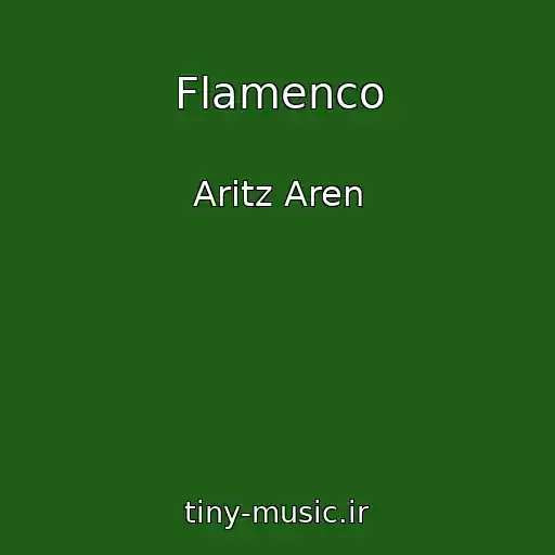 کاور آهنگ Flamenco از Aritz Aren