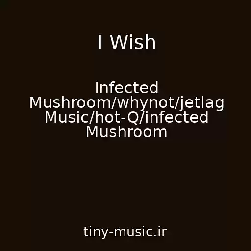 کاور آهنگ I Wish از Infected Mushroom/whynot/jetlag Music/hot-Q/infected Mushroom