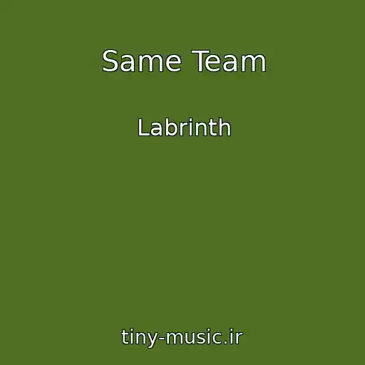 کاور آهنگ Same Team از Labrinth
