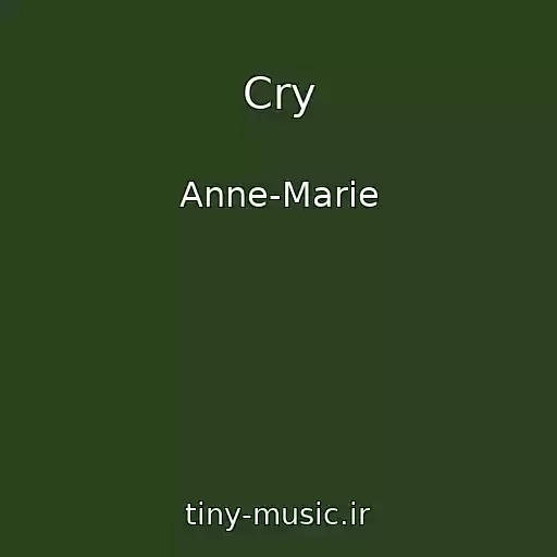 کاور آهنگ Cry از Anne-Marie