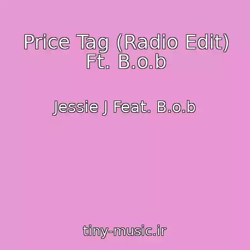 کاور آهنگ Price Tag (Radio Edit) Ft. B.o.b از Jessie J Feat. B.o.b