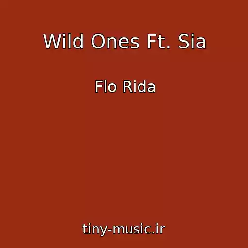 کاور آهنگ Wild Ones Ft. Sia از Flo Rida