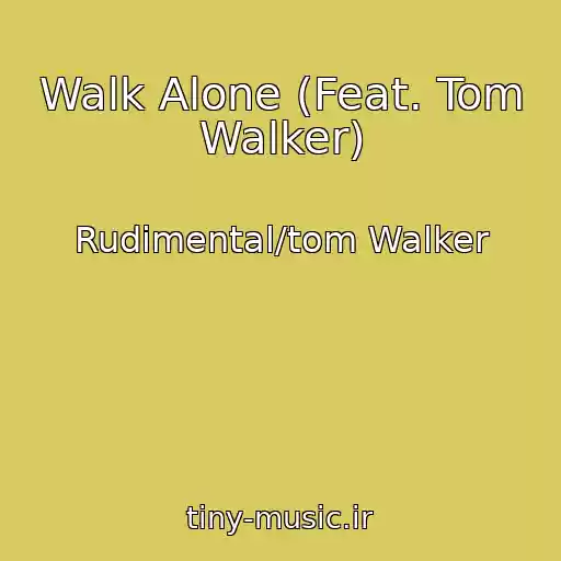 کاور آهنگ Walk Alone (Feat. Tom Walker) از Rudimental/tom Walker