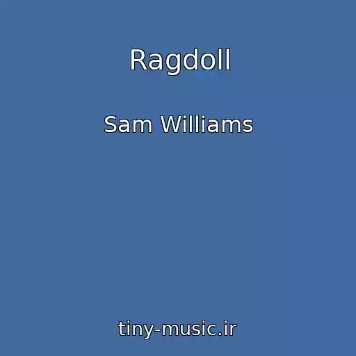 کاور آهنگ Ragdoll از Sam Williams