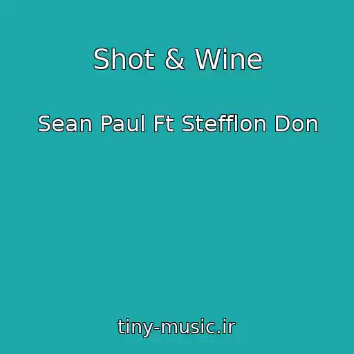 کاور آهنگ Shot & Wine از Sean Paul Ft Stefflon Don
