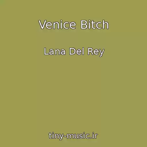 کاور آهنگ Venice Bitch از Lana Del Rey