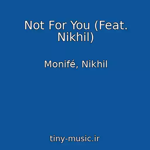 کاور آهنگ Not For You (Feat. Nikhil) از Monifé, Nikhil