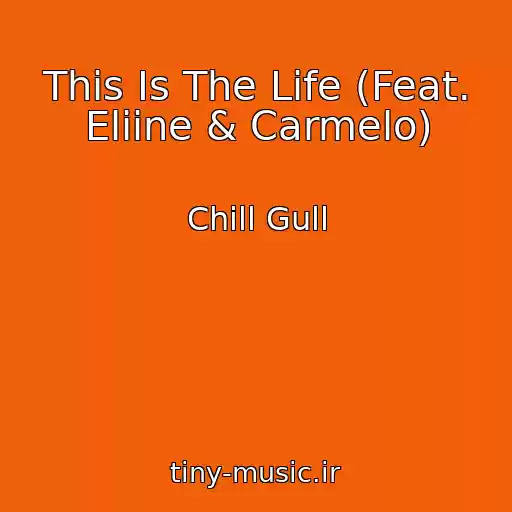 کاور آهنگ This Is The Life (Feat. Eliine & Carmelo) از Chill Gull