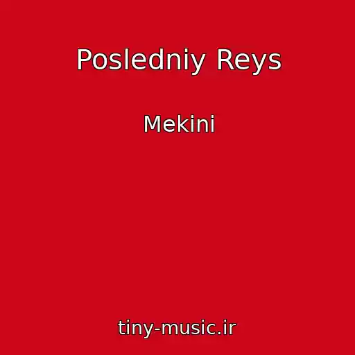 کاور آهنگ Posledniy Reys از Mekini