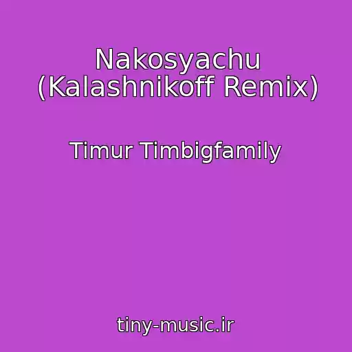 کاور آهنگ Nakosyachu (Kalashnikoff Remix) از Timur Timbigfamily
