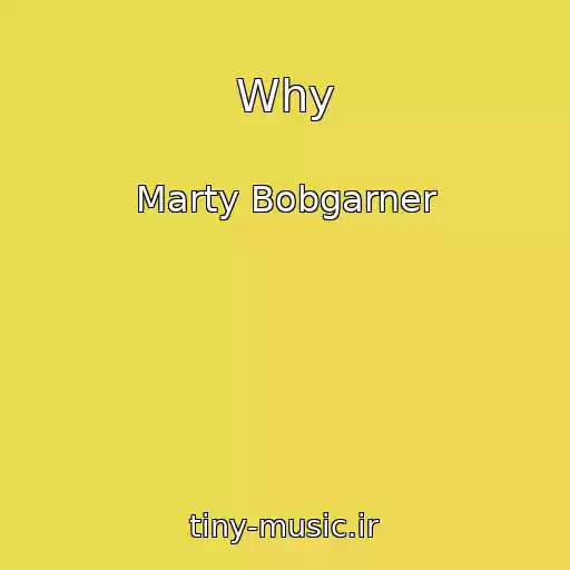 کاور آهنگ Why از Marty Bobgarner
