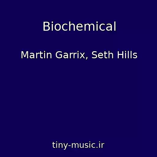 کاور آهنگ Biochemical از Martin Garrix, Seth Hills