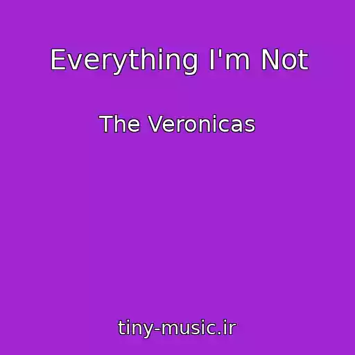 کاور آهنگ Everything I'm Not از The Veronicas