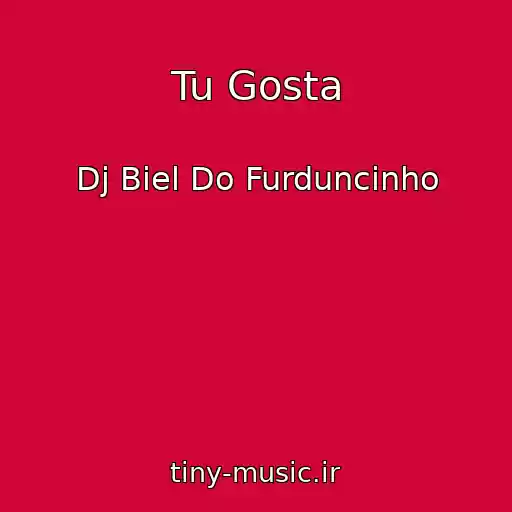 کاور آهنگ Tu Gosta از Dj Biel Do Furduncinho