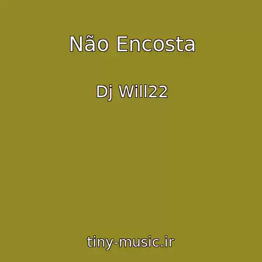 کاور آهنگ Não Encosta از Dj Will22