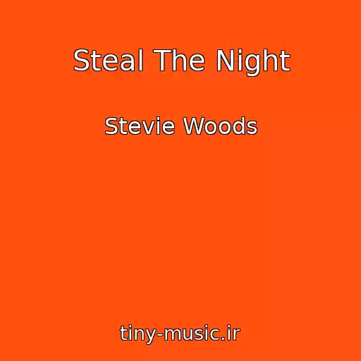 کاور آهنگ Steal The Night از Stevie Woods