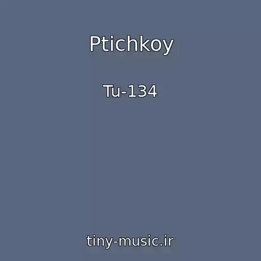 کاور آهنگ Ptichkoy از Tu-134