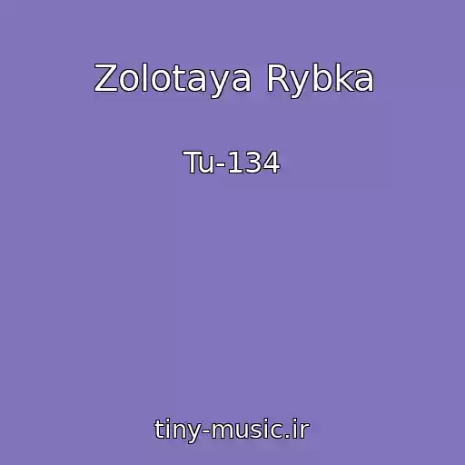 کاور آهنگ Zolotaya Rybka از Tu-134