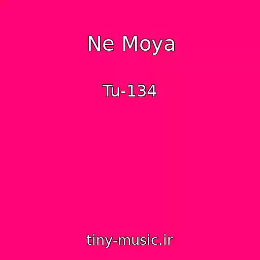 کاور آهنگ Ne Moya از Tu-134