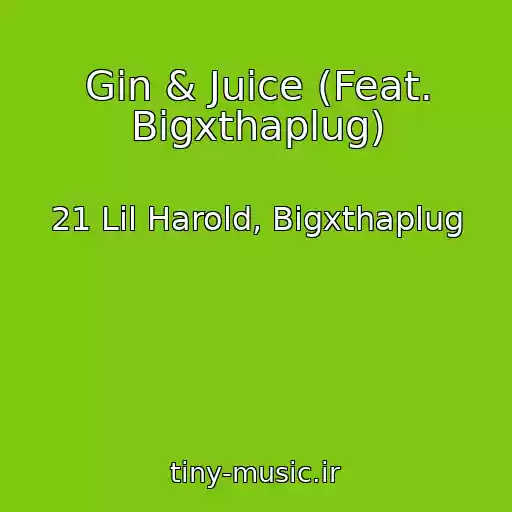 کاور آهنگ Gin & Juice (Feat. Bigxthaplug) از 21 Lil Harold, Bigxthaplug