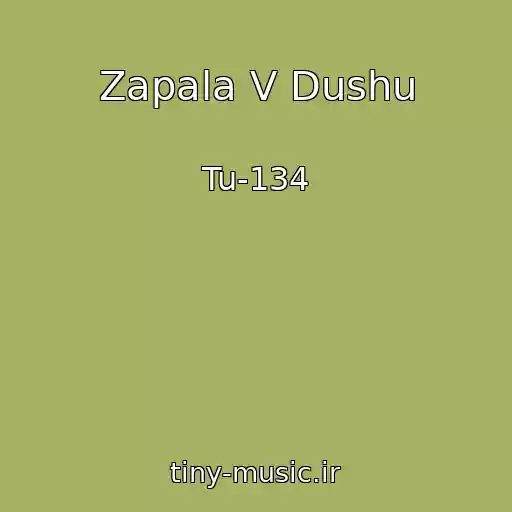 کاور آهنگ Zapala V Dushu از Tu-134