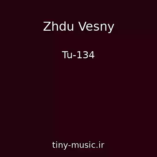 کاور آهنگ Zhdu Vesny از Tu-134
