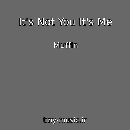 کاور آهنگ It's Not You It's Me از Muffin