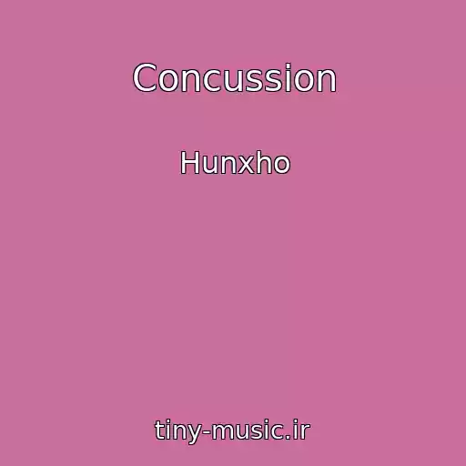 کاور آهنگ Concussion از Hunxho