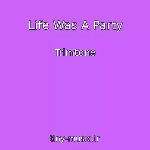 کاور آهنگ Life Was A Party از Trimtone