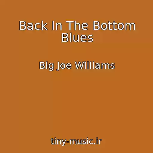 کاور آهنگ Back In The Bottom Blues از Big Joe Williams