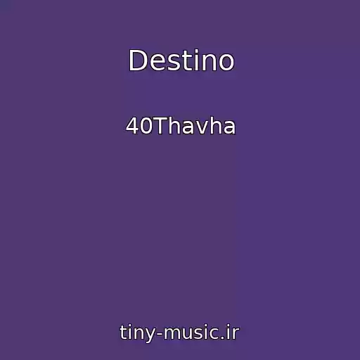 کاور آهنگ Destino از 40Thavha