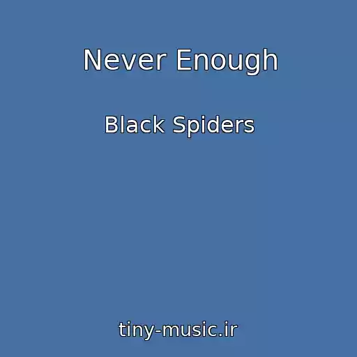 کاور آهنگ Never Enough از Black Spiders