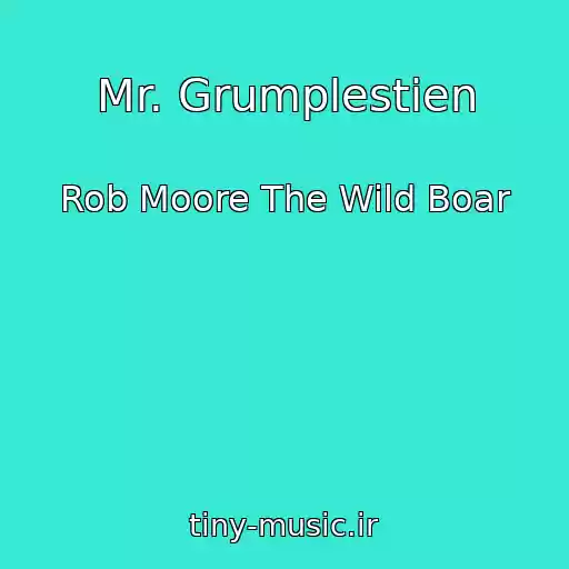 کاور آهنگ Mr. Grumplestien از Rob Moore The Wild Boar