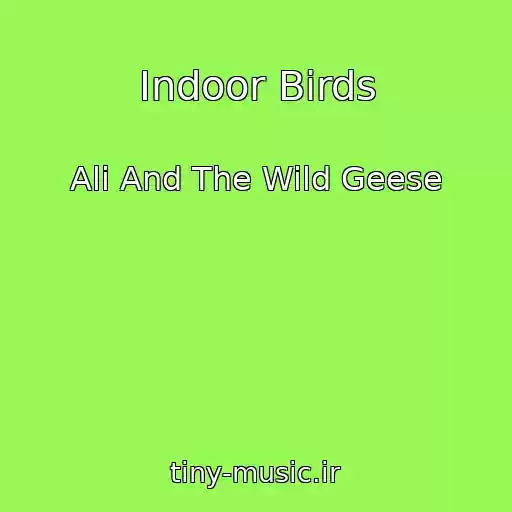 کاور آهنگ Indoor Birds از Ali And The Wild Geese