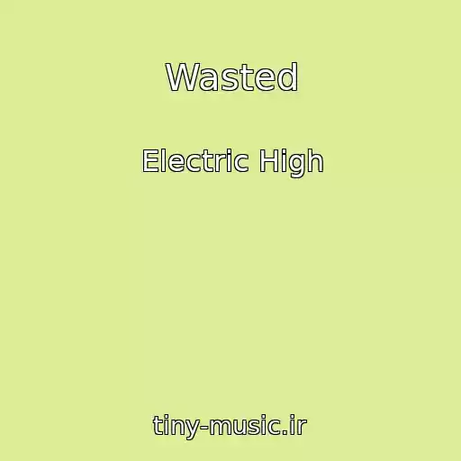 کاور آهنگ Wasted از Electric High