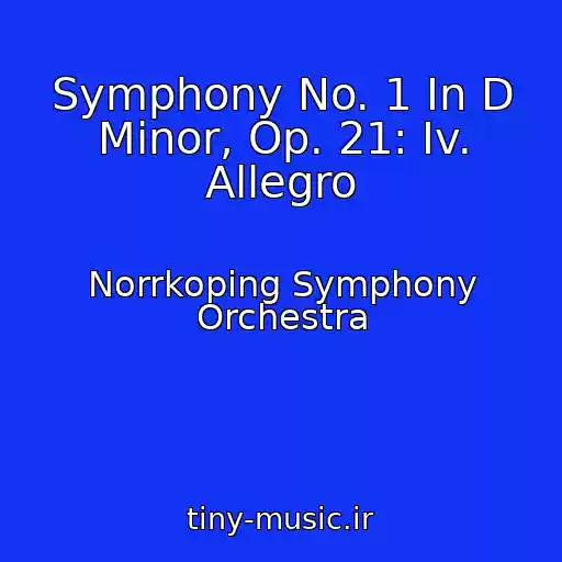 کاور آهنگ Symphony No. 1 In D Minor, Op. 21: Iv. Allegro از Norrkoping Symphony Orchestra