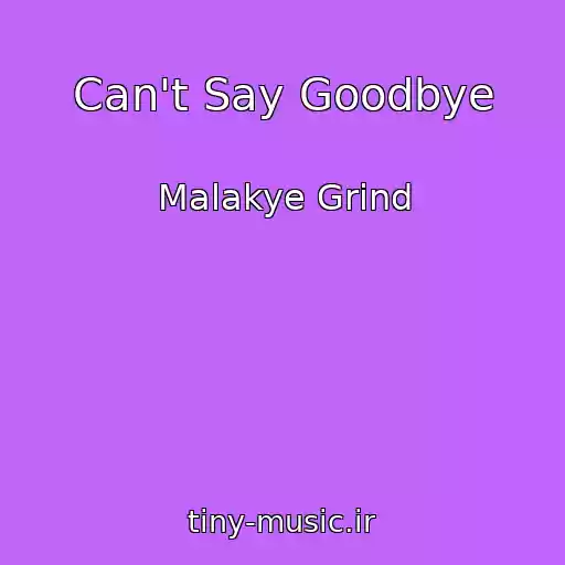 کاور آهنگ Can't Say Goodbye از Malakye Grind
