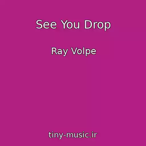 کاور آهنگ See You Drop از Ray Volpe