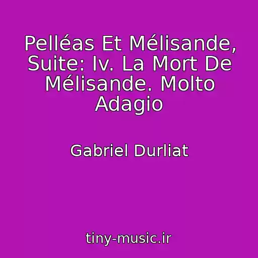 کاور آهنگ Pelléas Et Mélisande, Suite: Iv. La Mort De Mélisande. Molto Adagio از Gabriel Durliat
