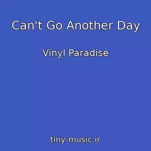 کاور آهنگ Can't Go Another Day از Vinyl Paradise