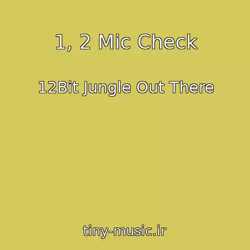 کاور آهنگ 1, 2 Mic Check از 12Bit Jungle Out There