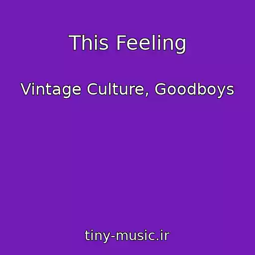 کاور آهنگ This Feeling از Vintage Culture, Goodboys