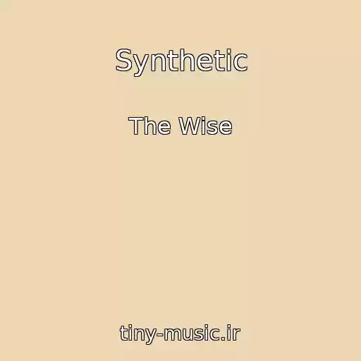 کاور آهنگ Synthetic از The Wise