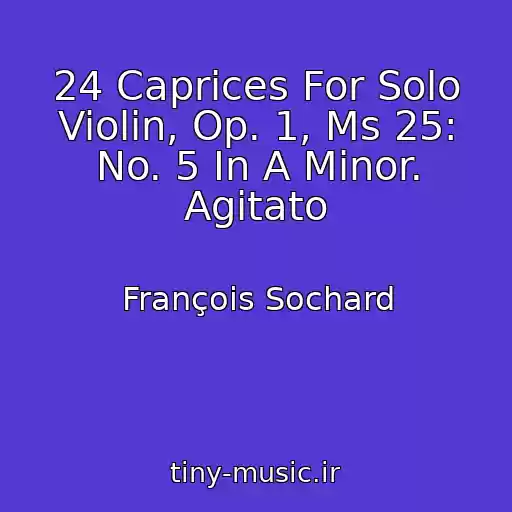 کاور آهنگ 24 Caprices For Solo Violin, Op. 1, Ms 25: No. 5 In A Minor. Agitato از François Sochard