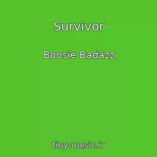 کاور آهنگ Survivor از Boosie Badazz