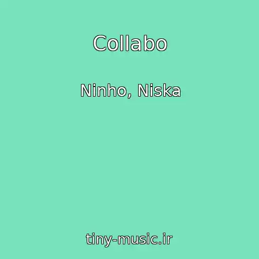 کاور آهنگ Collabo از Ninho, Niska