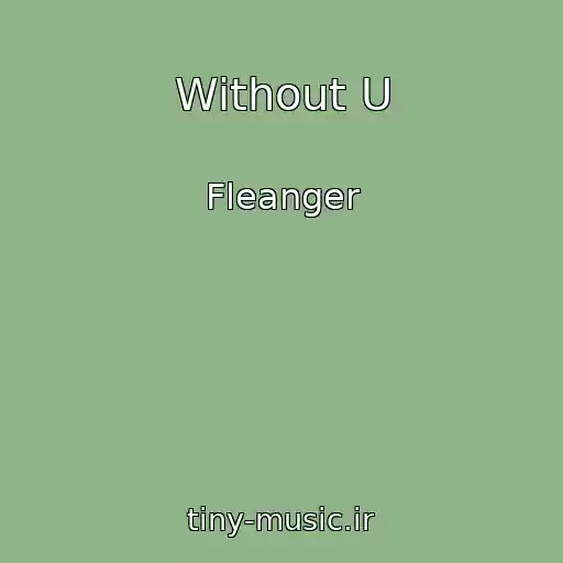 کاور آهنگ Without U از Fleanger